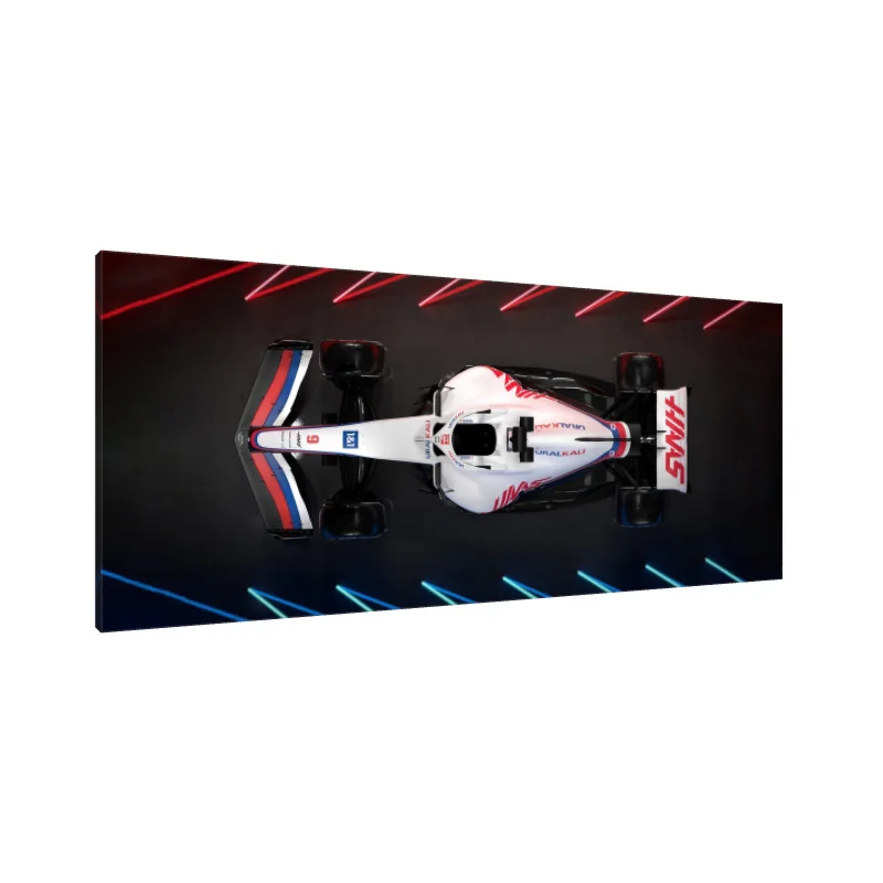 Tablou Canvas: Eleganță la Maxim - Image 1