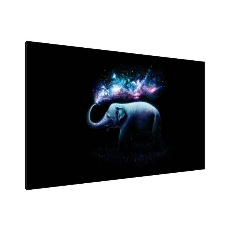 Tablou Canvas: Grație Galactică