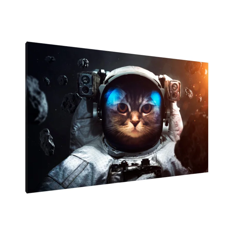 Tablou canvas: Pregătire galactică