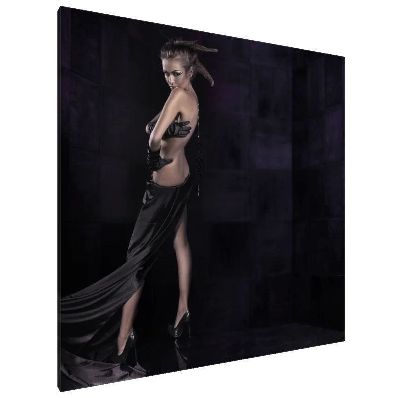 Tablou Canvas: Glamour în Umbre - Image 1