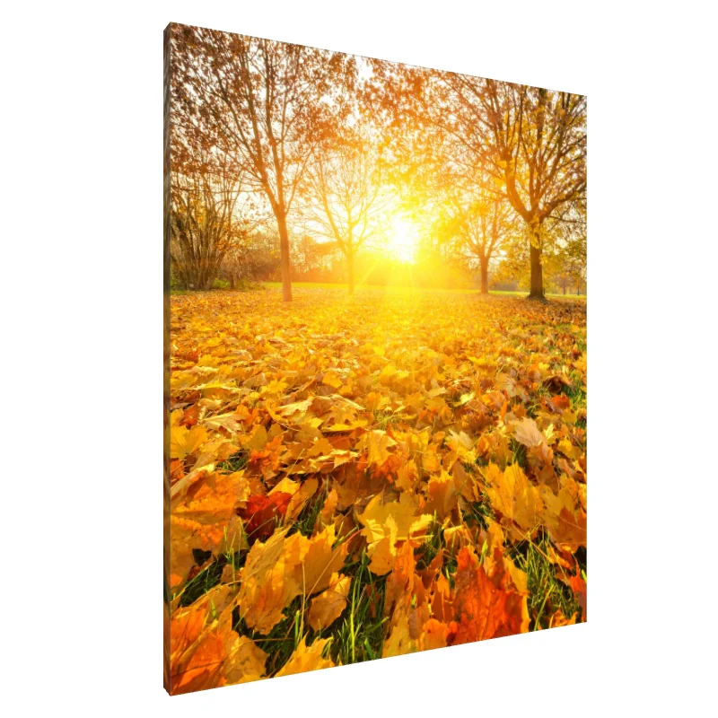 Tablou Canvas: Strălucirea aurie a toamnei