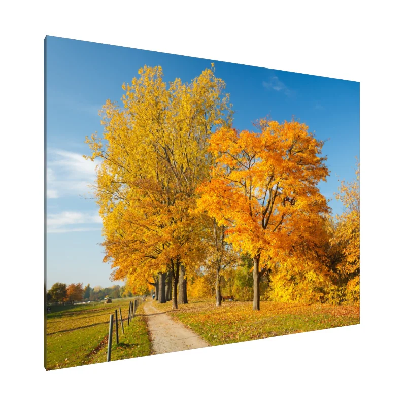 Tablou Canvas: Alei Aurii de Toamnă