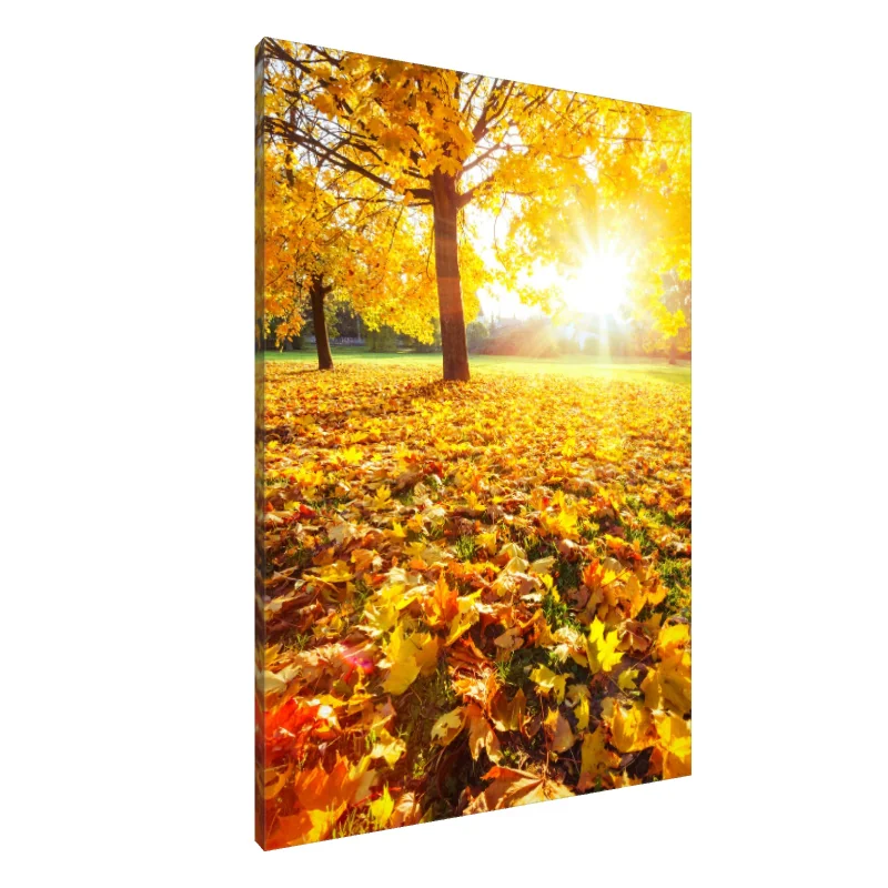 Tablou Canvas: Copertină Aurie