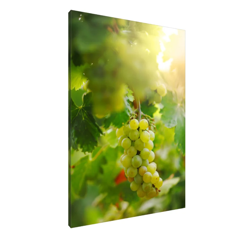 Tablou Canvas: Recoltă de Aur (1)