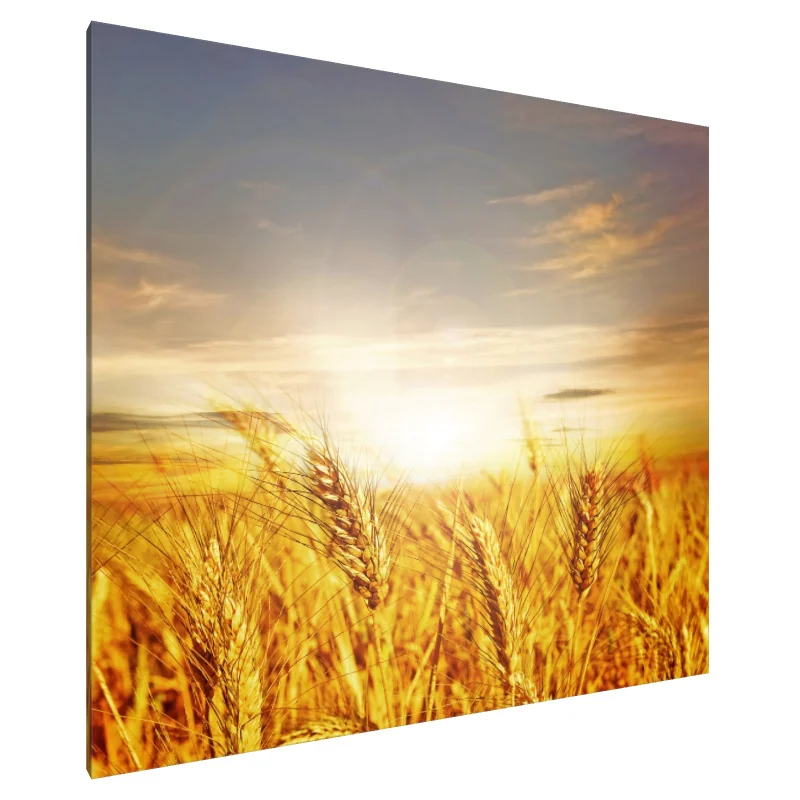 Tablou Canvas: Strălucirea recoltei de aur