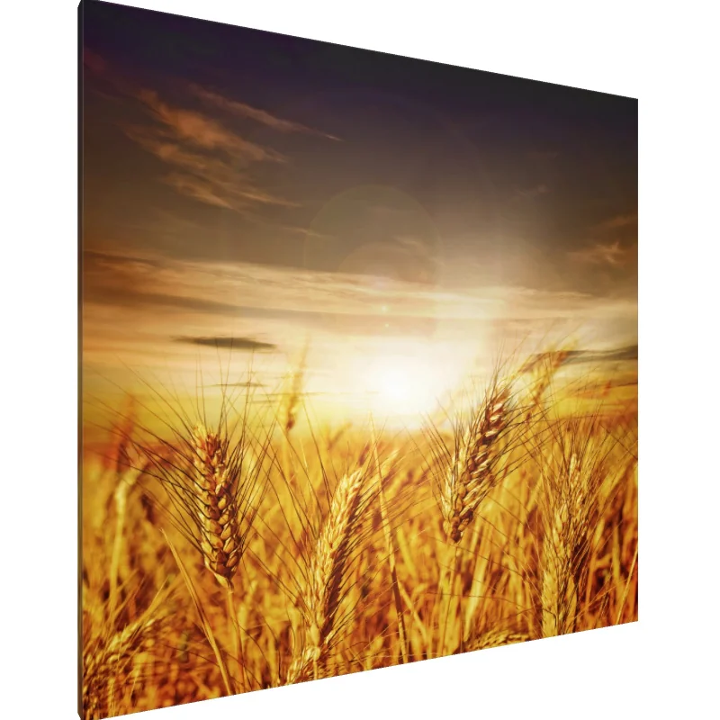 Tablou Canvas: Răsăritul Recoltei de Aur