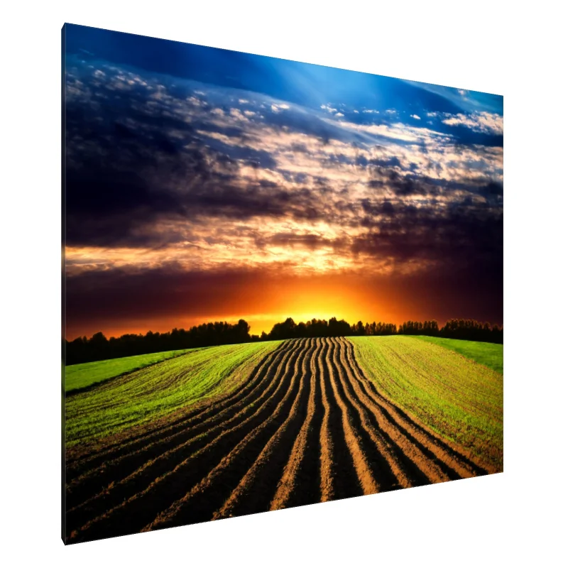 Tablou Canvas: Orizontul de Aur