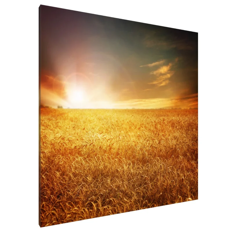 Tablou Canvas: Orizontul de Aur (1) - Image 1