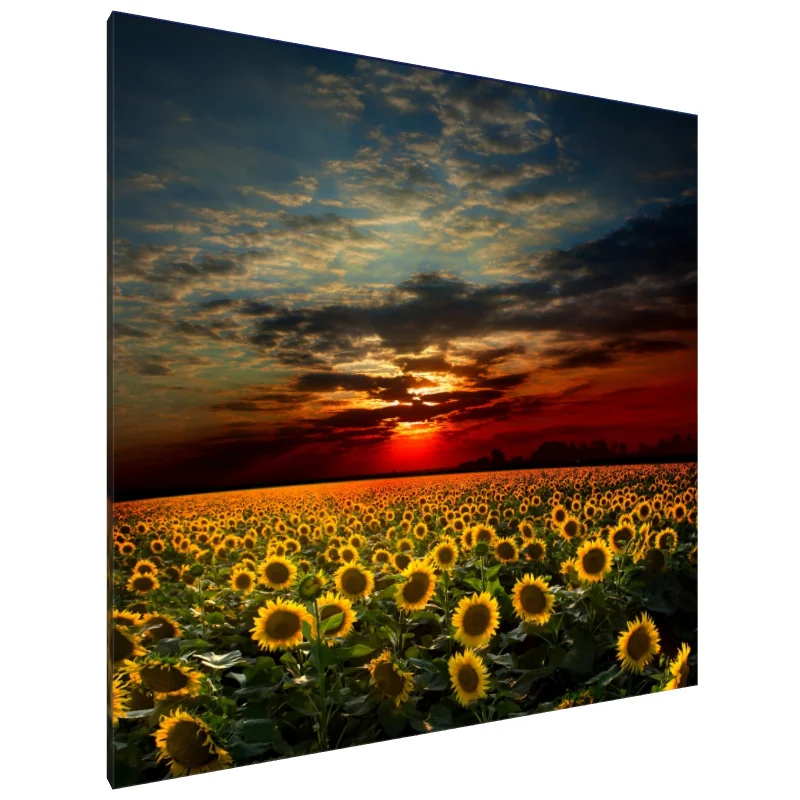 Tablou Canvas: Orizontul de Aur (2) - Image 1