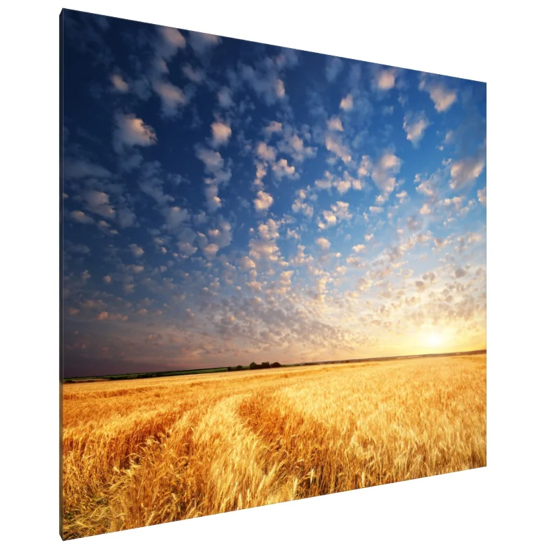 Tablou Canvas: Orizonturi Aurii