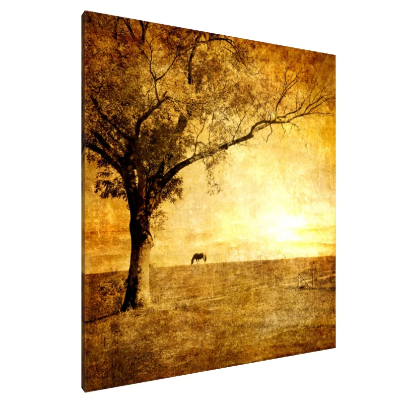 Tablou Canvas: Pășuni Aurii - Image 1