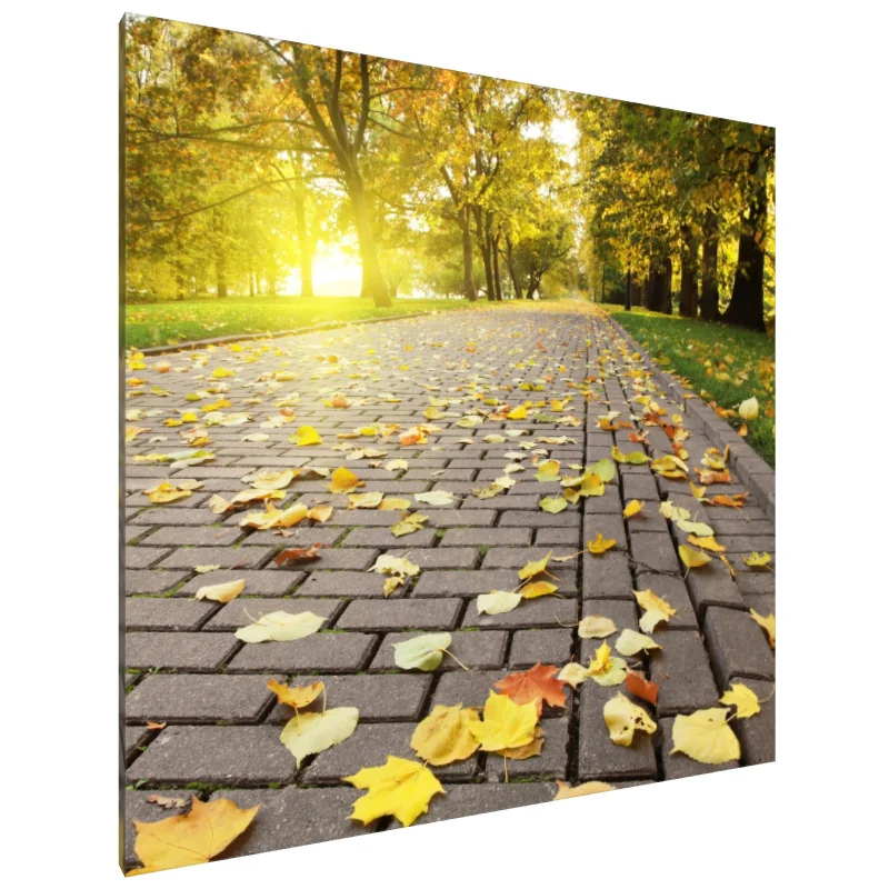 Tablou Canvas: Drumul de Aur