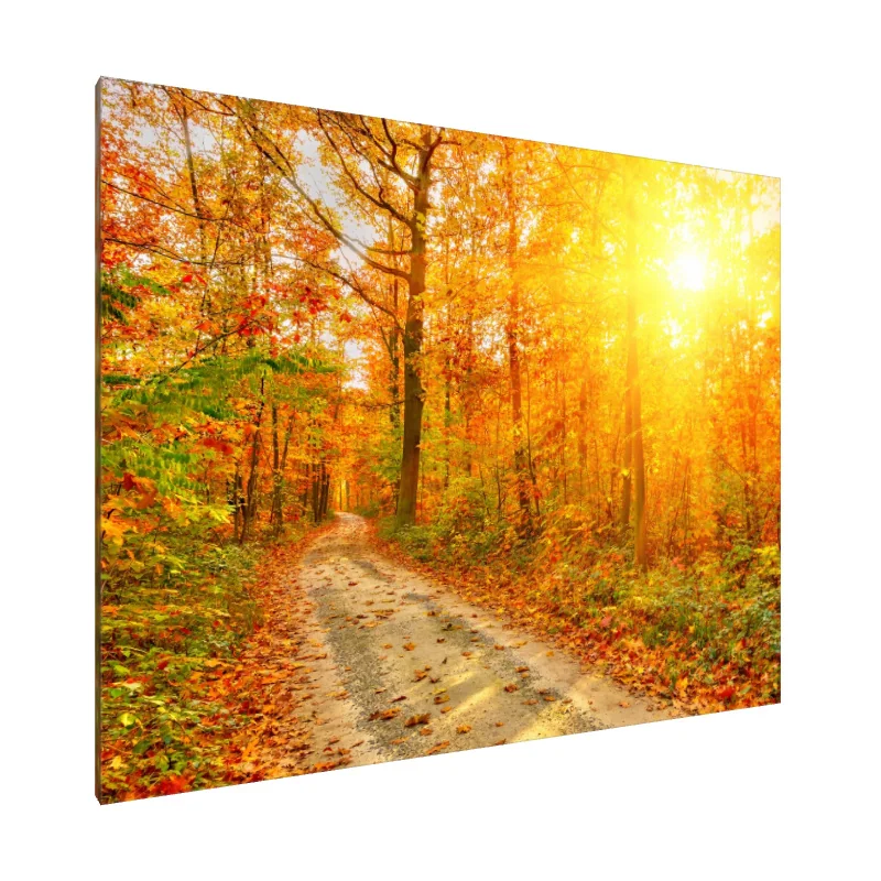 Tablou Canvas: Drum de Aur