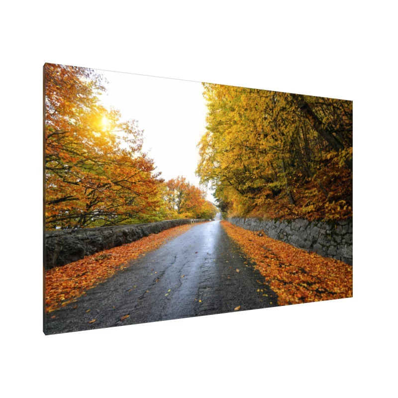 Tablou Canvas: Căi Aurii