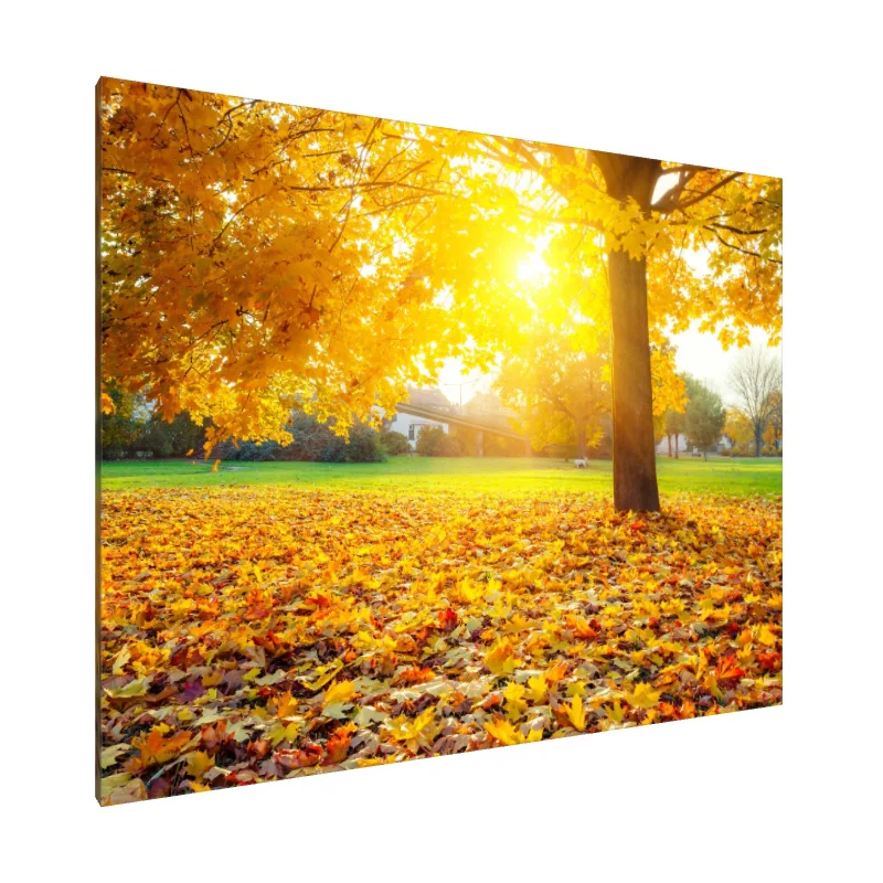 Tablou Canvas: Serenitate Aurie - Image 1