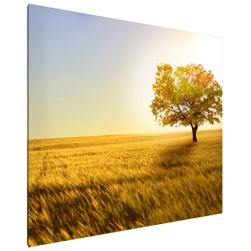 Tablou Canvas: Singurătatea de Aur