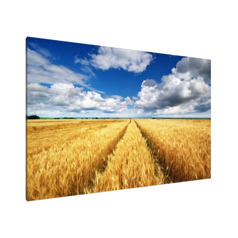 Tablou Canvas: Simfonia de Aur