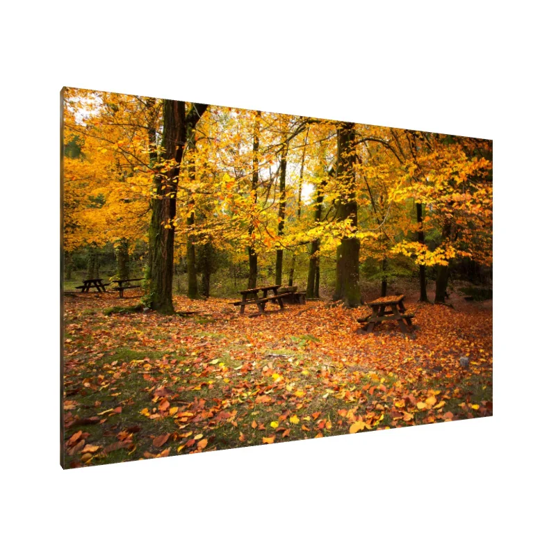 Tablou Canvas: Liniște Aurie (1)