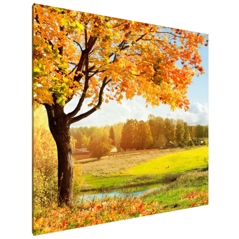 Tablou Canvas: Șoaptă de Aur - Image 1