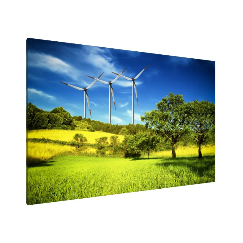 Tablou Canvas: Capturând Briza - Image 1