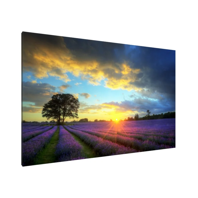 Tablou Canvas: Zori de Lavandă - Image 1