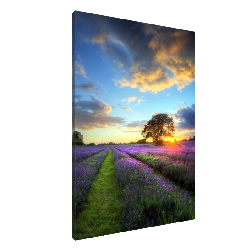 Tablou Canvas: Vise de levănțică la apus - Image 1