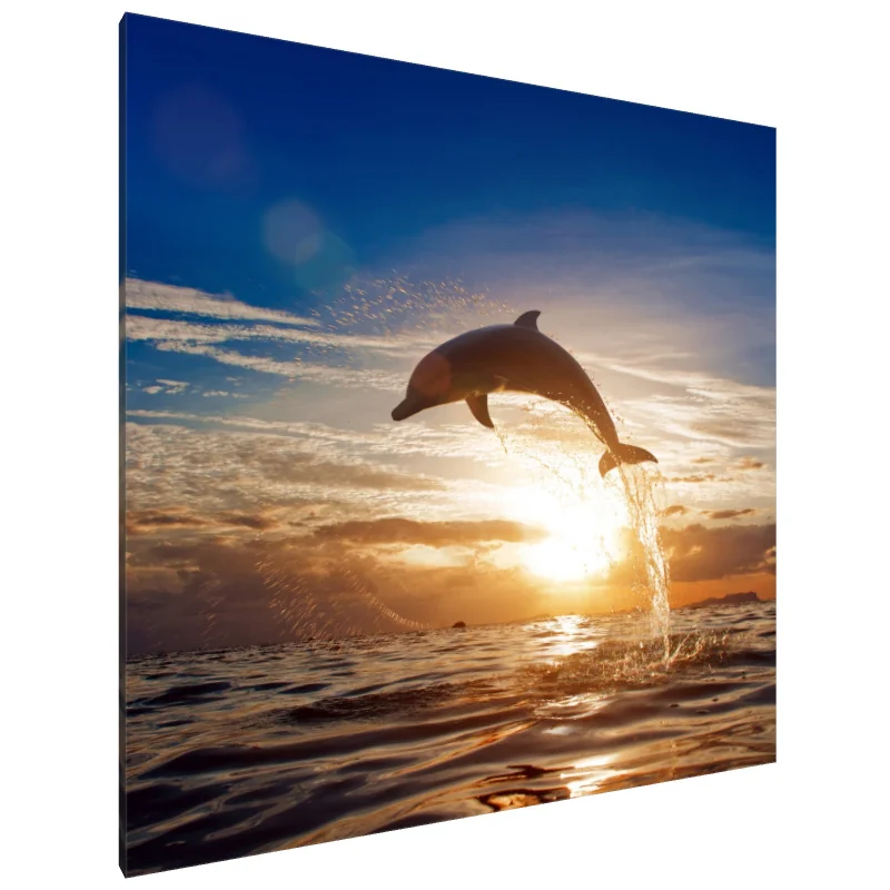 Tablou Canvas: Salt de bucurie