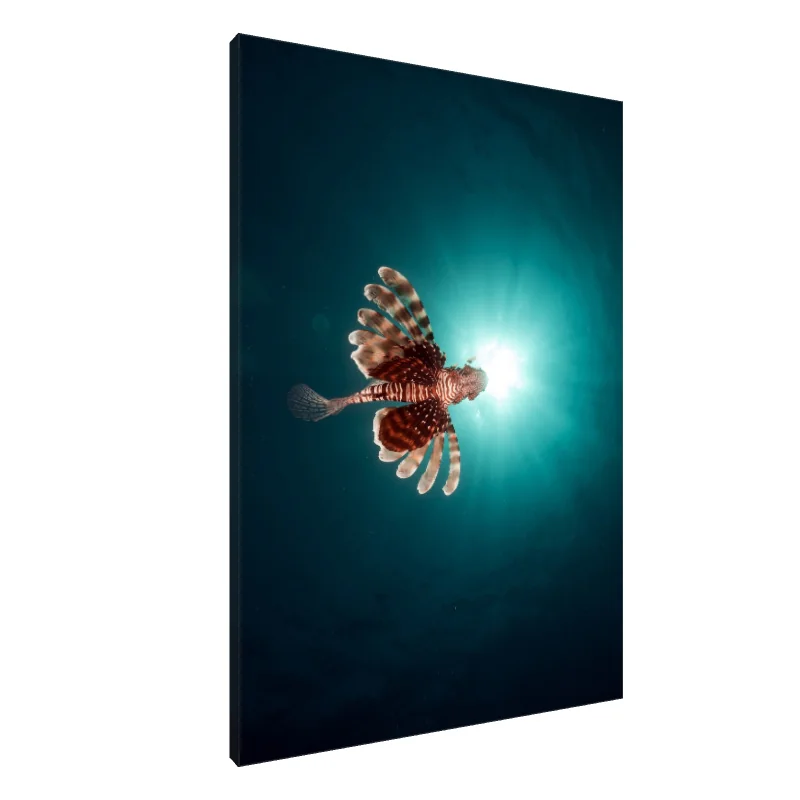 Tablou Canvas: Leul Luminii