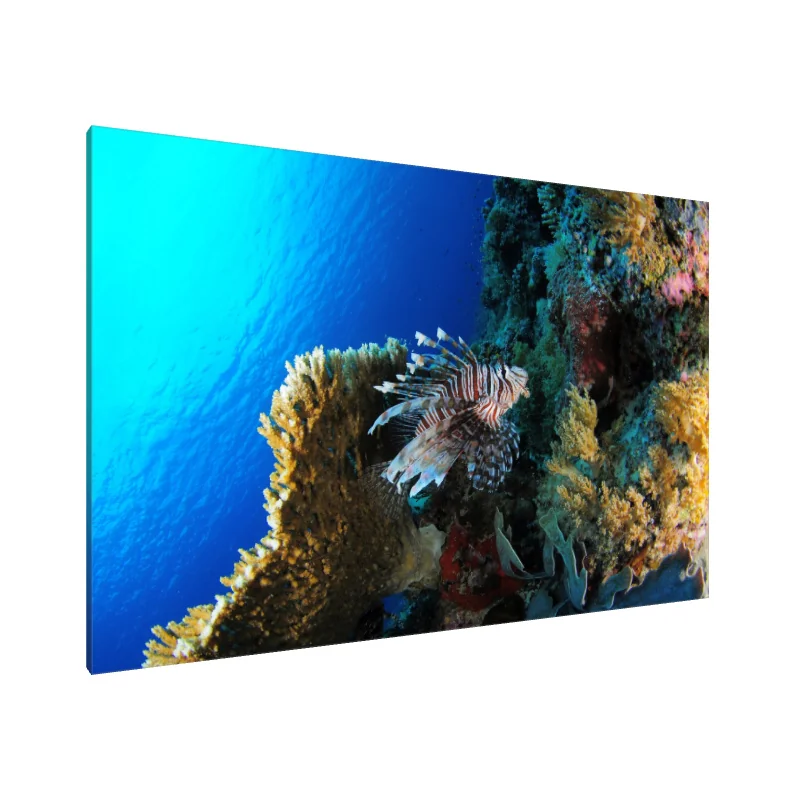 Tablou Canvas: Măreția Peștelui-Leu