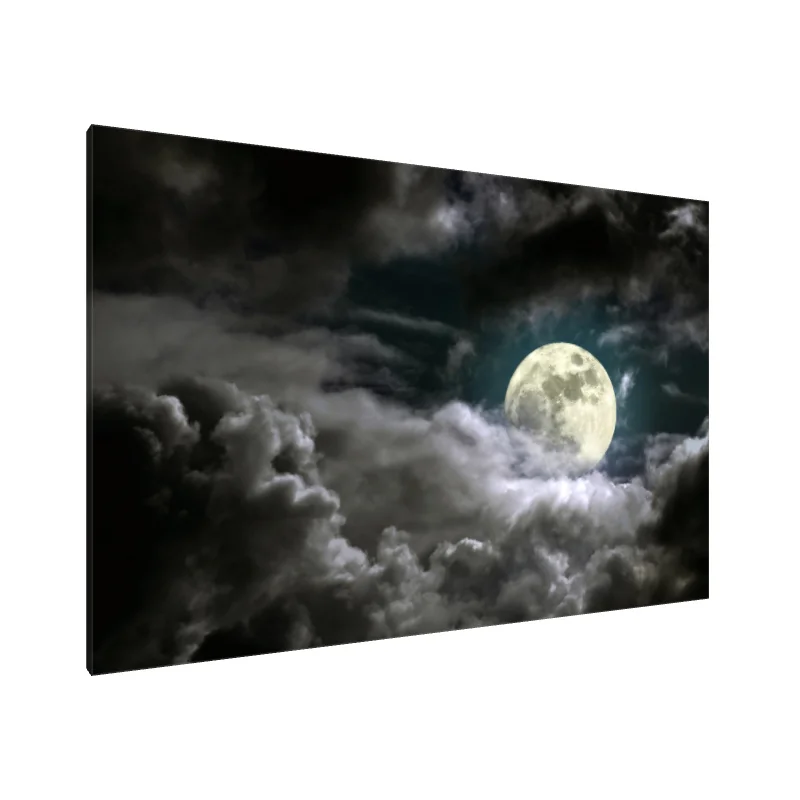 Tablou Canvas: Șoaptă Lunară