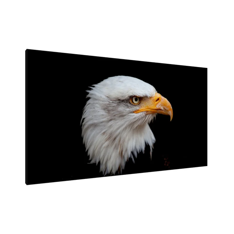 Tablou Canvas: Privirea Măiastră (1) - Image 1