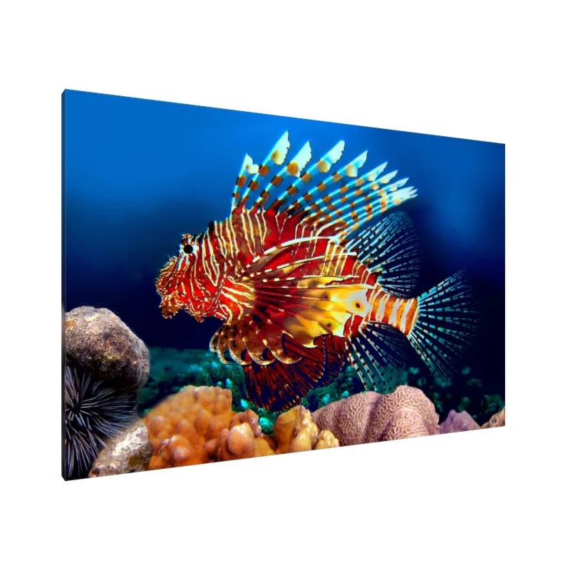 Tablou Canvas: Splendoare măiastră a peștelui-leu