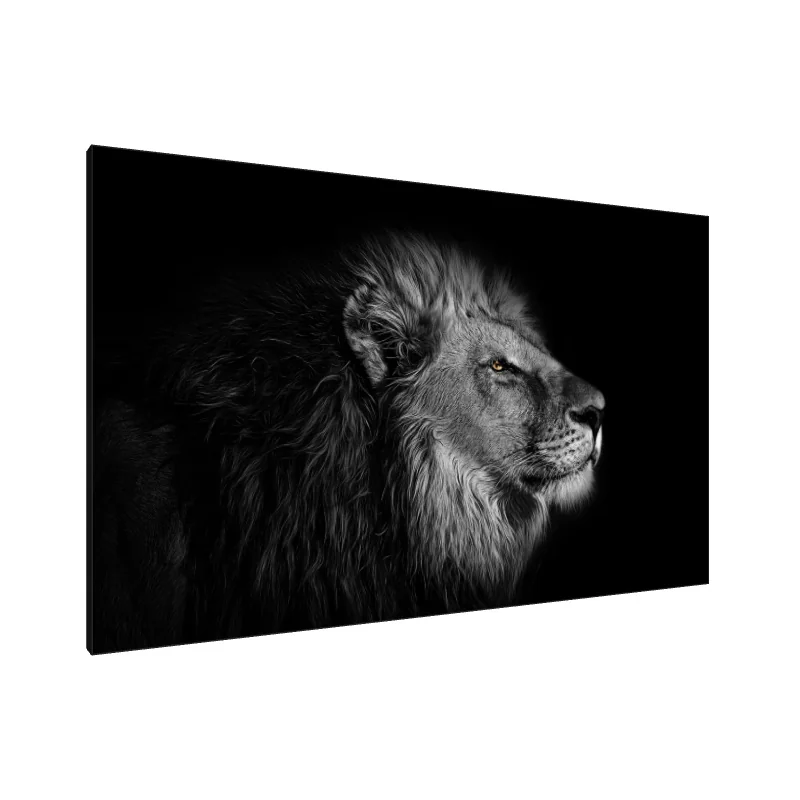 Tablou Canvas: Măreția Mândriei - Image 1