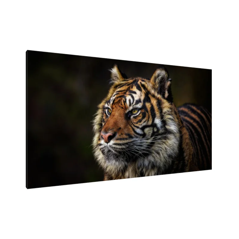 Tablou Canvas: Dungi Mărețe - Image 1