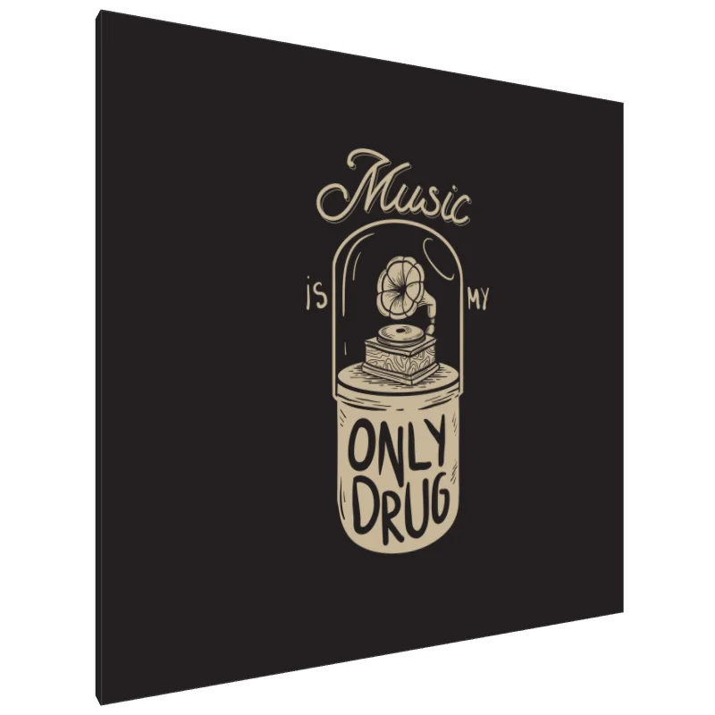 Tablou Canvas: Remediu Melodic - Image 1