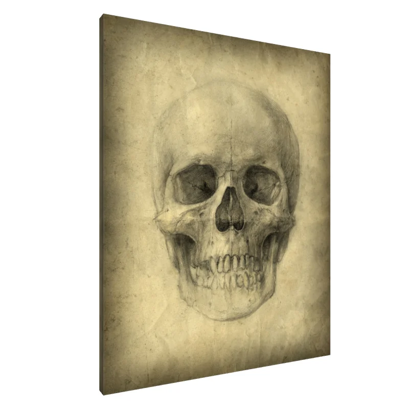 Tablou Canvas: Memento Mori - Image 1