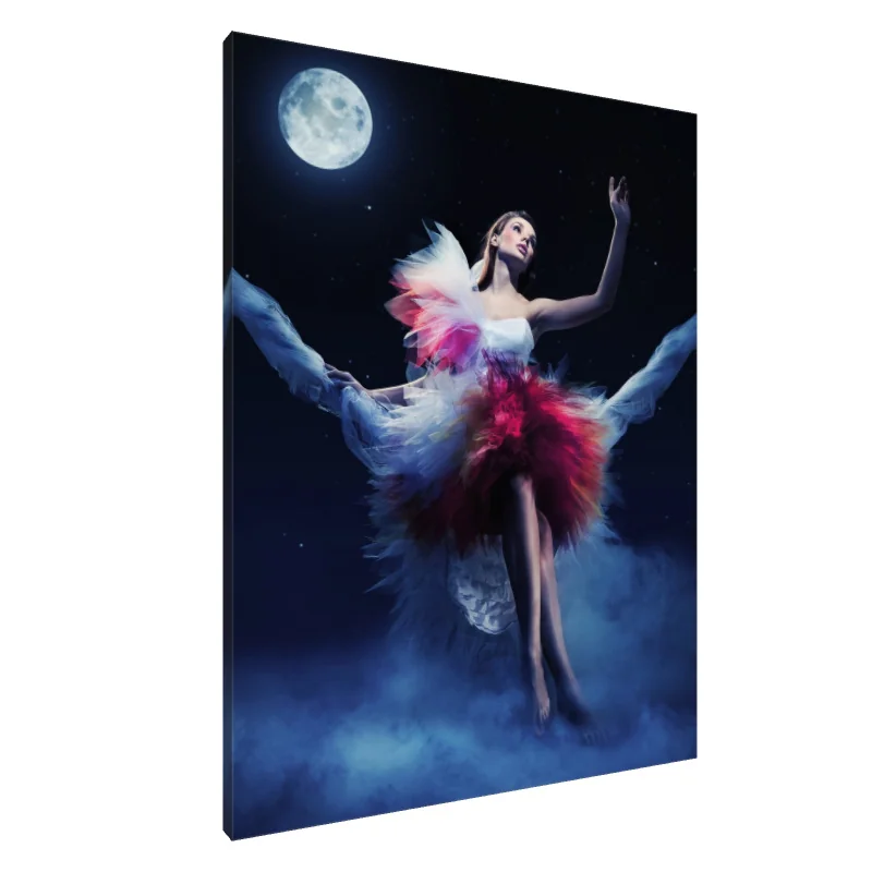 Tablou Canvas: Dansatoarea în lumina lunii