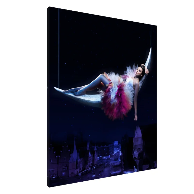 Tablou Canvas: Vis în lumina lunii (1) - Image 1