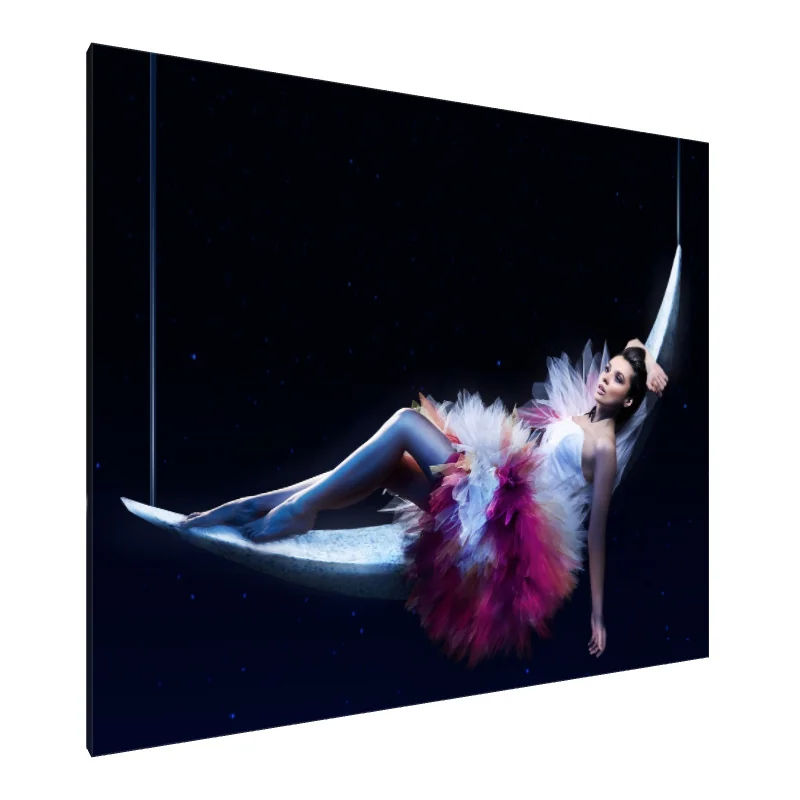 Tablou Canvas: Vis în lumina lunii - Image 1