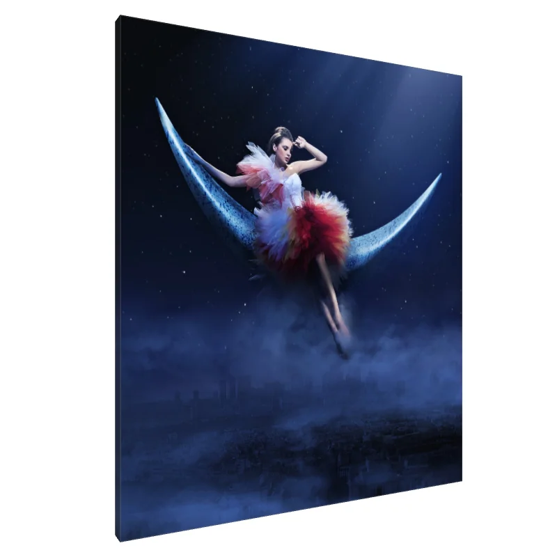 Tablou Canvas: Peisaj de vis sub lumina lunii - Image 1