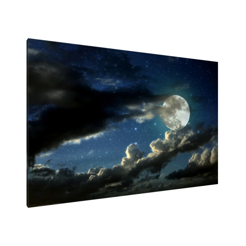 Tablou Canvas: Seninătate sub lumina lunii (2) - Image 1