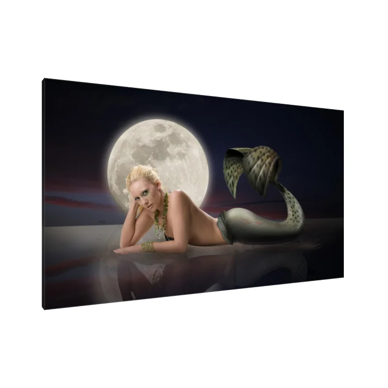 Tablou Canvas: Seninătate sub lumina lunii (1)