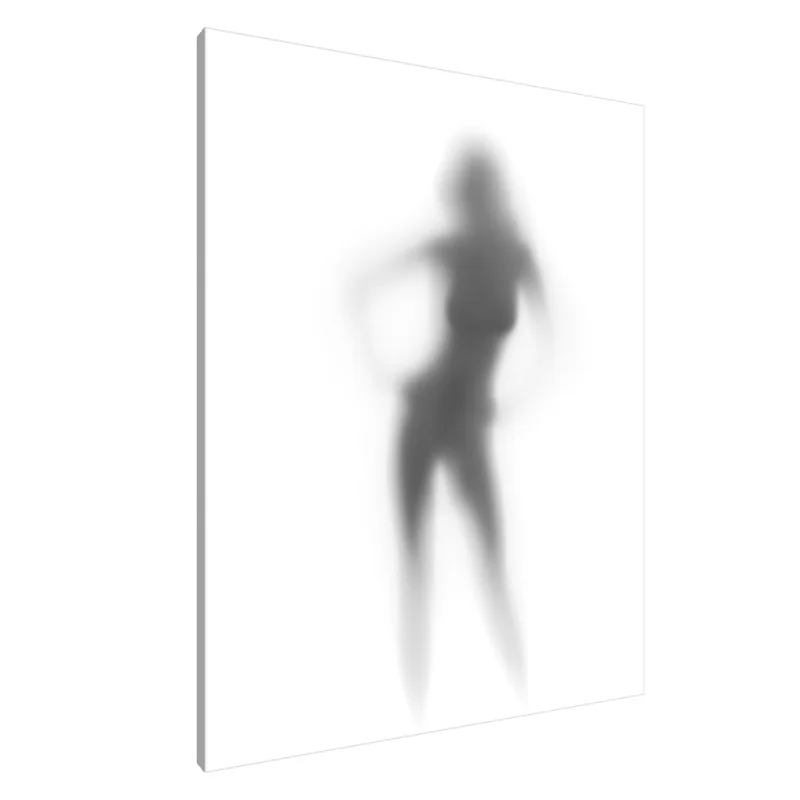 Tablou Canvas: Silueta Mystică