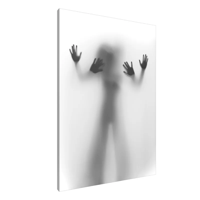 Tablou Canvas: Silueta mistică