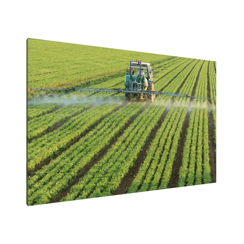 Tablou Canvas: Îngrijirea Câmpurilor Verzi