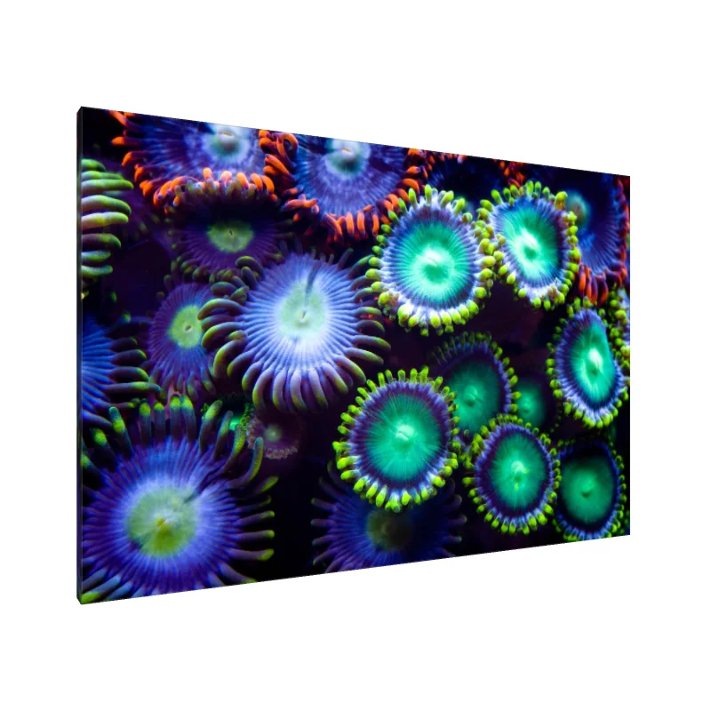 Tablou Canvas: Ocean Blossom