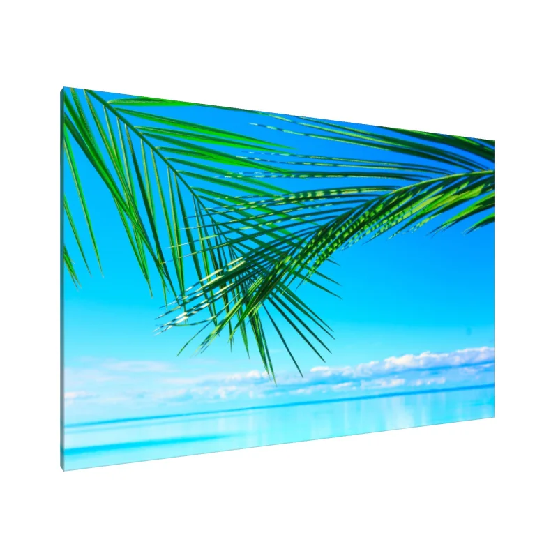 Tablou Canvas: Vise de Briză Oceanică