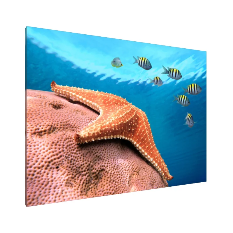 Tablou Canvas: Armonie Oceanică: Serenadă cu Stele de Mare