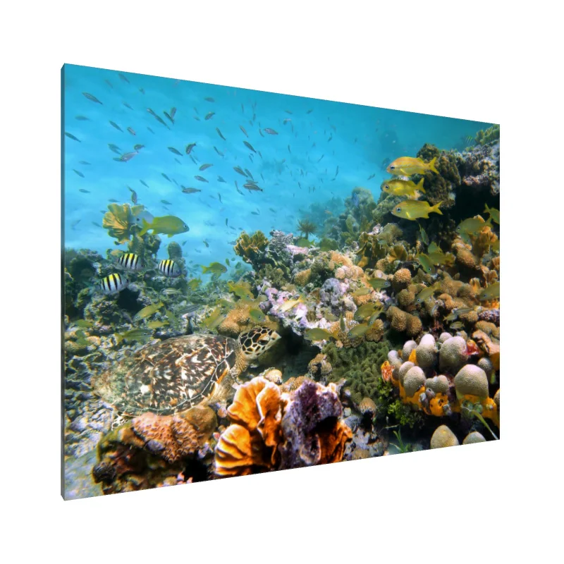 Tablou Canvas: Simfonia Oceanului 1754590186933