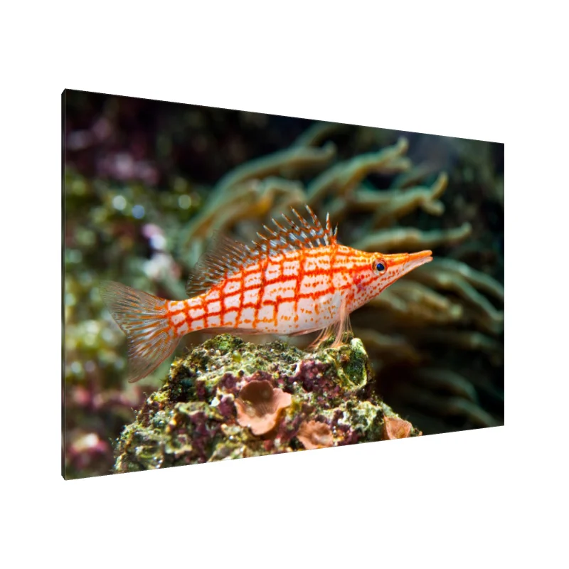 Tablou Canvas: Artizanul Oceanului